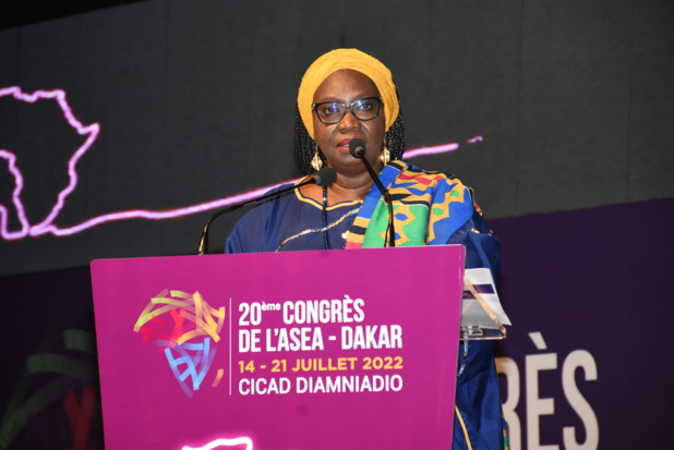 PERSPECTIVES DES SOCIETES D’ELECTRICITE EN AFRIQUE :  Les douze travaux d’Hercule