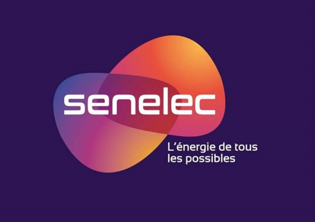 PERSPECTIVES DES SOCIETES D’ELECTRICITE EN AFRIQUE :  Les douze travaux d’Hercule