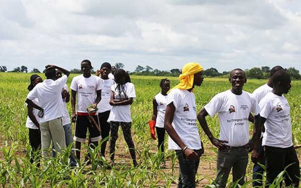 Renforcement des accords de financement avec le Sénégal : L’Usaid lance un nouveau projet quinquennal de 9,2 milliards de FCFA