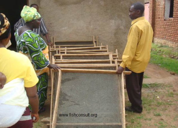 Burundi: Une méthode de séchage du poisson qui change la vie Burundi: Une méthode de séchage du poisson qui change la vie