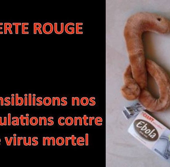 La FAO intensifie la sensibilisation pour empêcher la propagation du virus Ebola, mortel à l'homme La FAO intensifie la sensibilisation pour empêcher la propagation du virus Ebola, mortel à l'homme