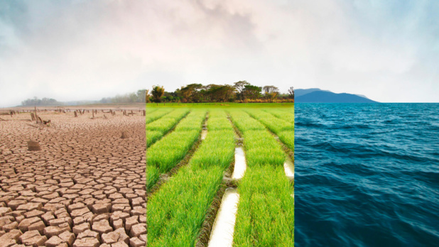 Adaptation aux changements climatiques : Le Fida appelle à augmenter d’urgence les financements pour les petits exploitants