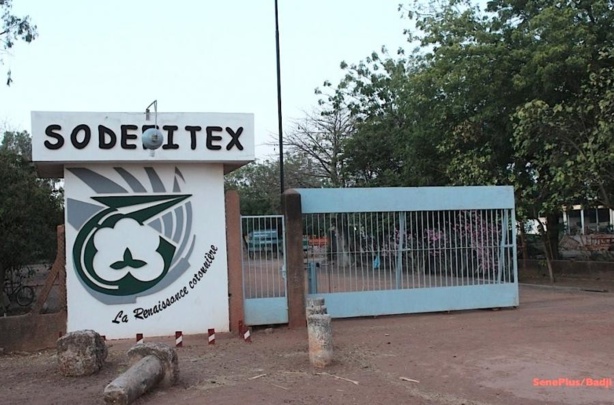 Déficit pluviométrique : la SODEFITEX revoit ses objectifs de production à la baisse Déficit pluviométrique : la SODEFITEX revoit ses objectifs de production à la baisse