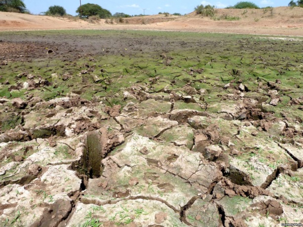 Un déficit de financement de 100 millions de dollars entrave la lutte contre la faim dans la région du Sahel