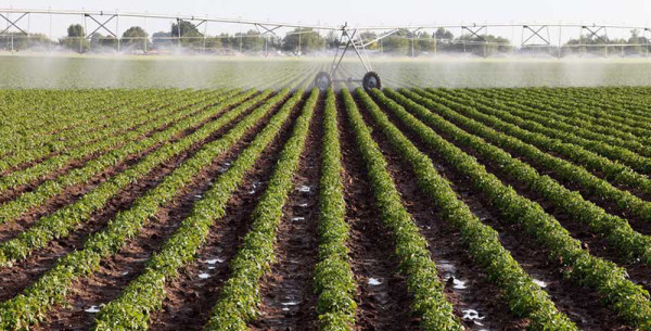 Afrique: Crédit à l'investissement - 2 milliards de dollars US chaque année pour l'agro-business africain Afrique: Crédit à l'investissement - 2 milliards de dollars US chaque année pour l'agro-business africain