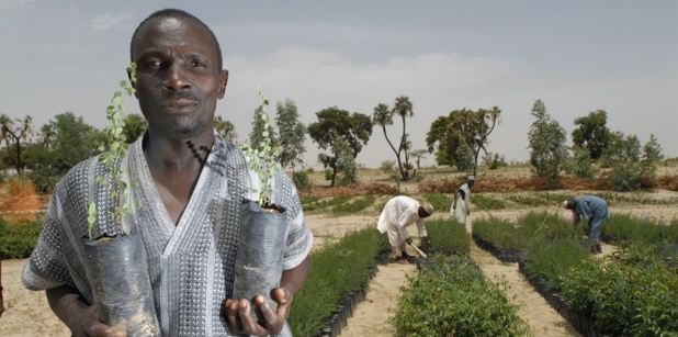 Négociations sur le climat : Le Fida plaide pour les petits producteurs et les populations rurales Négociations sur le climat : Le Fida plaide pour les petits producteurs et les populations rurales