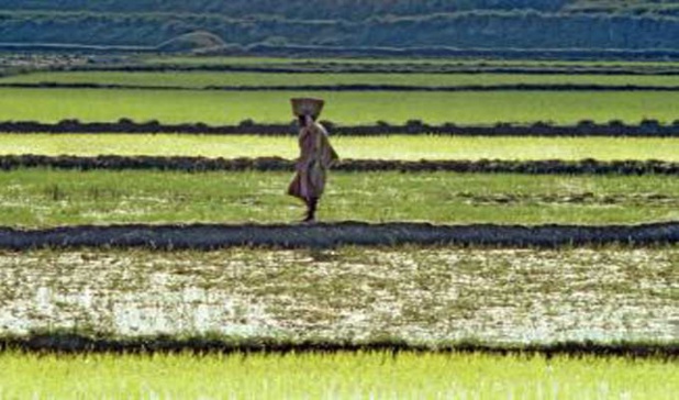 Forum paysan régional : La deuxième édition prévue le 16 novembre à Grand-Bassam Forum paysan régional : La deuxième édition prévue le 16 novembre à Grand-Bassam