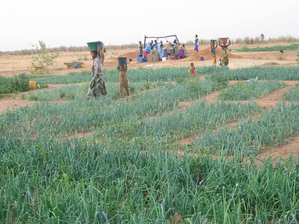 Agriculture  : Le projet PASA LOU-MA-KAF réceptionne son matériel roulant