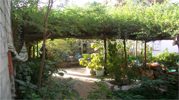 SENEGAL: L’Etat envisage de créer 14.000 écovillages SENEGAL: L’Etat envisage de créer 14.000 écovillages