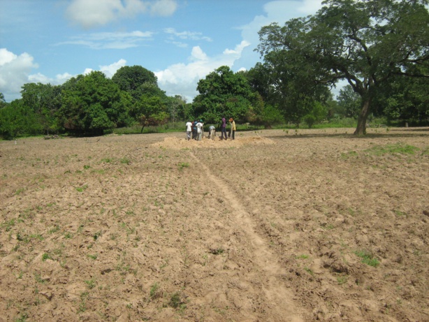Foncier : Le forum social sénégalais dénonce les conséquences de l’’accaparement des terres en Afrique