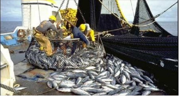 Pêche : Le CONIPAS dénonce l’opacité des sociétés de pêche mixtes avec l’Union Européenne