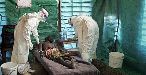 Afrique: Ebola - La propagation planétaire est imminente Afrique: Ebola - La propagation planétaire est imminente