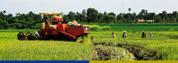 Afrique: Investissement - l'Afrique subsaharienne, nouvel eldorado des investisseurs étrangers Afrique: Investissement - l'Afrique subsaharienne, nouvel eldorado des investisseurs étrangers