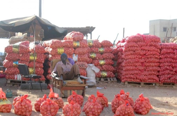 DENREES ALIMENTAIRES : L’oignon local passe de 300 à 400 francs DENREES ALIMENTAIRES : L’oignon local passe de 300 à 400 francs