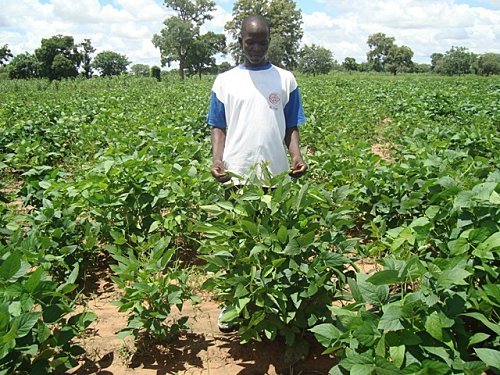 L'UNCAS annonce 1.000 coopératives agricoles intégrées-bio L'UNCAS annonce 1.000 coopératives agricoles intégrées-bio