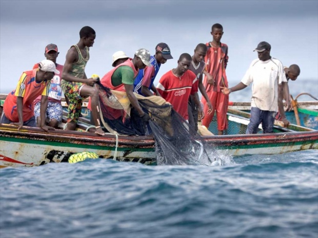 Raréfaction de ressources halieutiques : Les débarquements de la pêche artisanale et industrielle chutent en 2021