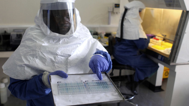 Afrique: Appel pour une mobilisation citoyenne contre Ebola