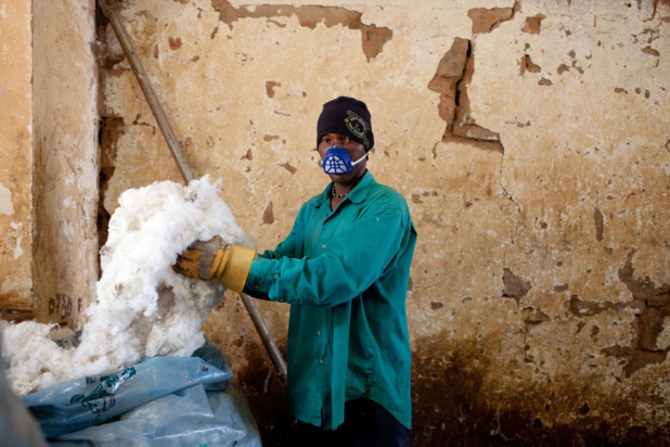 FAO/Swiatoslaw Wojtkowiak La production de coton contribue de manière significative à l'économie malienne malgré des conditions commerciales souvent difficiles.