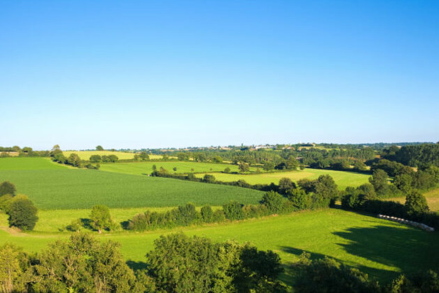 L'Afrique mérite-t-elle l'aide verte ? L'Afrique mérite-t-elle l'aide verte ?