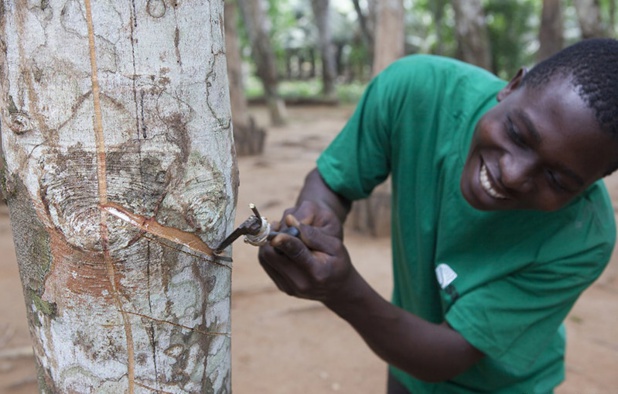 Hausse de 6,1% du résultat net de la Société des caoutchoucs de Grand Béréby au troisième trimestre 2022. Hausse de 6,1% du résultat net de la Société des caoutchoucs de Grand Béréby au troisième trimestre 2022.