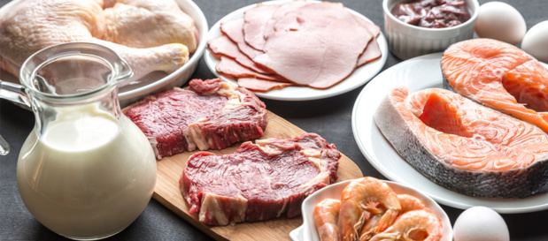 Production de viande, lait, œufs : Des performances encourageantes obtenues dans le secteur de l’élevage Production de viande, lait, œufs : Des performances encourageantes obtenues dans le secteur de l’élevage