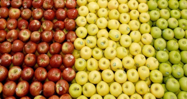 Afrique de l'Ouest: Probable circulation des OGM - La mauvaise foi de l'UEMOA Afrique de l'Ouest: Probable circulation des OGM - La mauvaise foi de l'UEMOA