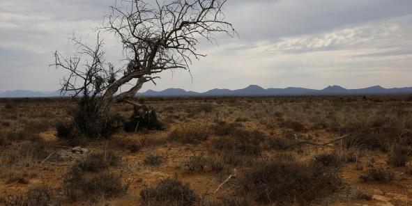 L'Afrique lance des obligations anti-catastrophes climatiques
