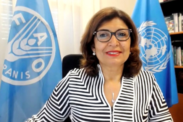Mme Maria Helena Semedo, Directrice générale adjointe de l’Organisation des Nations Unies pour l’alimentation et l’agriculture (FAO) Mme Maria Helena Semedo, Directrice générale adjointe de l’Organisation des Nations Unies pour l’alimentation et l’agriculture (FAO)
