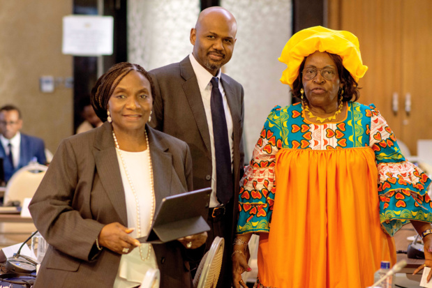 Shelter-Afrique : Le nouveau plan stratégique quinquennal dévoilé Shelter-Afrique : Le nouveau plan stratégique quinquennal dévoilé