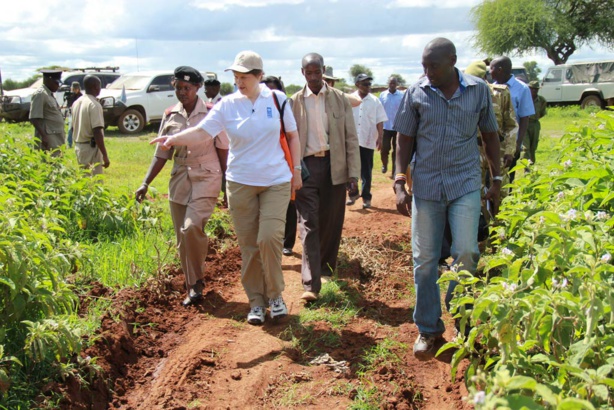 Sécurité alimentaire - le défi reste grand pour l'Afrique malgré son potentiel Sécurité alimentaire - le défi reste grand pour l'Afrique malgré son potentiel