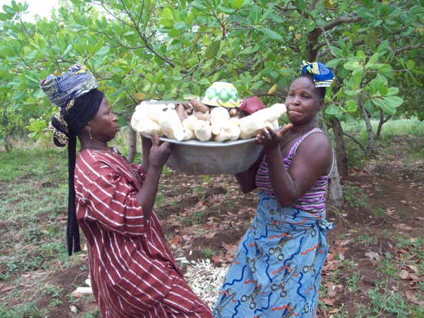 Afrique: La participation des femmes rurales est indispensable pour l'avenir de la planète