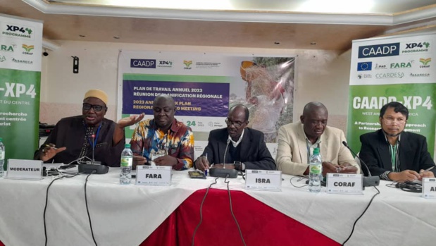 Développement de l’agriculture en Afrique : Des chercheurs se réunissent à Dakar pour intensifier la collaboration et le partage d’expériences Développement de l’agriculture en Afrique : Des chercheurs se réunissent à Dakar pour intensifier la collaboration et le partage d’expériences