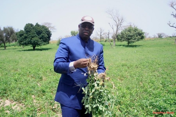 Podor: Macky Sall annonce un programme de désenclavement de 82 milliards FCFA