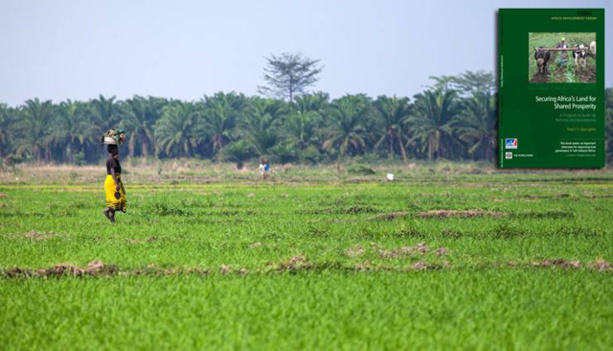 L'expérience mondiale déterminante pour le développement de bons systèmes de gouvernance foncière en Afrique L'expérience mondiale déterminante pour le développement de bons systèmes de gouvernance foncière en Afrique