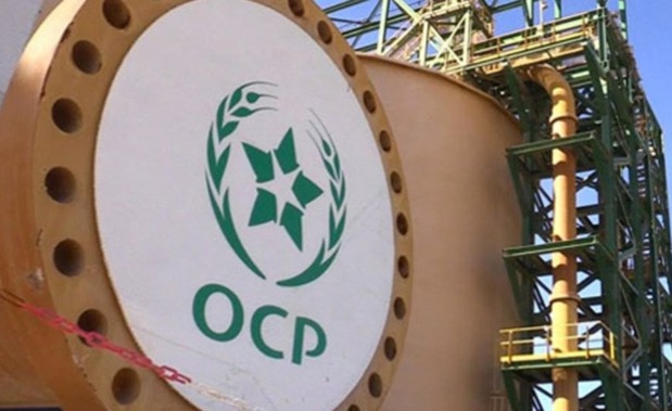 Maroc: L'apport considérable d'OCP dans la marche vers la souveraineté alimentaire Maroc: L'apport considérable d'OCP dans la marche vers la souveraineté alimentaire