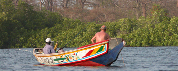 Vers la relance de la promotion du potentiel touristique du Sine-Saloum Vers la relance de la promotion du potentiel touristique du Sine-Saloum