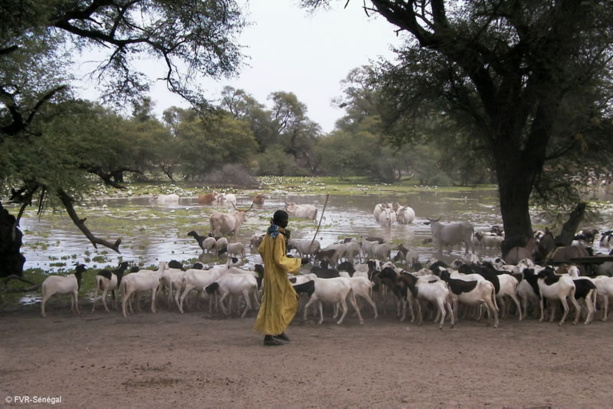 Le  Ranch de Dolly sera réhabilité en 2015 à hauteur de 5 milliards.