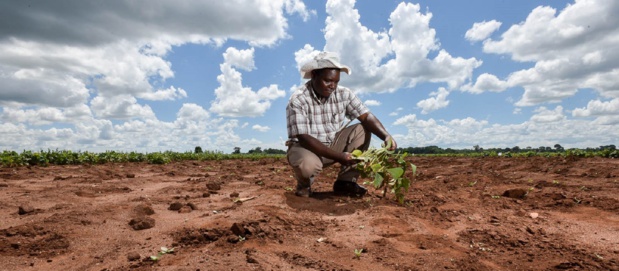 Financement de l’adaptation climatique en Afrique : L’Onu exhorte les décideurs mondiaux à suivre l’exemple de la Bad Financement de l’adaptation climatique en Afrique : L’Onu exhorte les décideurs mondiaux à suivre l’exemple de la Bad