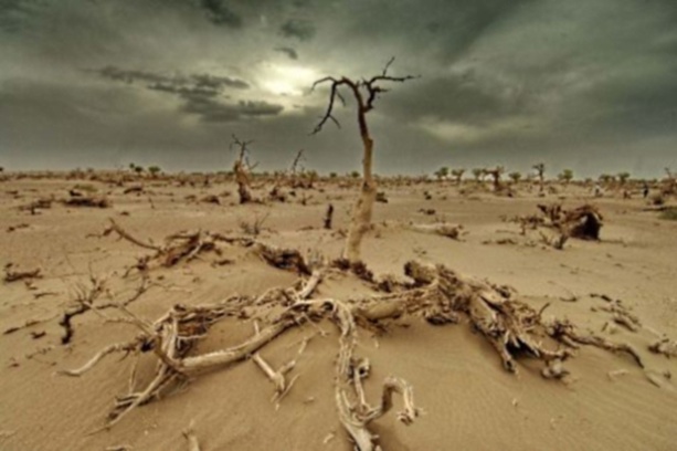 Les pays développés accusés de retarder l'accord sur le changement climatique