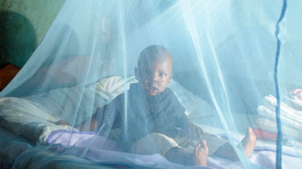 Afrique: Net recul de la mortalité due au paludisme, notamment en Afrique, selon l'OMS