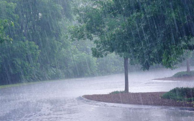 Saison des pluies 2023 : L’Anacim prévoit une situation pluviométrique excédentaire