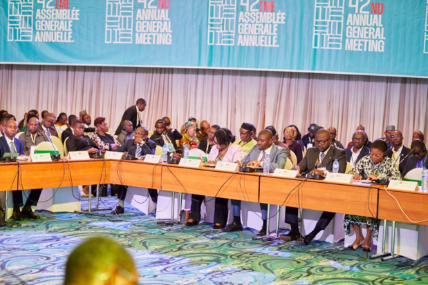 Shelter Afrique : Les nouvelles réformes adoptées lors de la 42ème assemblée générale Shelter Afrique : Les nouvelles réformes adoptées lors de la 42ème assemblée générale