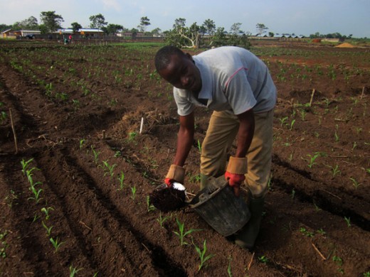 Guinée : Un prêt chinois de 8,5 millions de dollars pour la relance économique Guinée : Un prêt chinois de 8,5 millions de dollars pour la relance économique