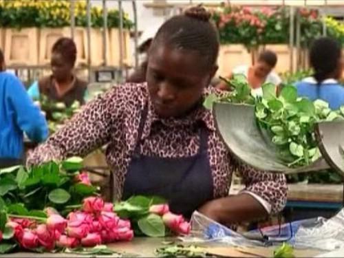 UE: les exportations agricoles de 5 pays africains de nouveau exonérées de droits de douane