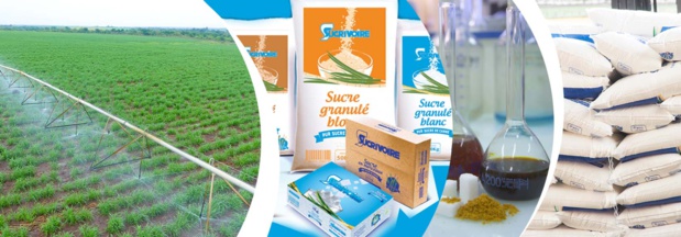 Côte d’Ivoire : Accentuation de la perte de la société Sucrivoire en 2022. Côte d’Ivoire : Accentuation de la perte de la société Sucrivoire en 2022.