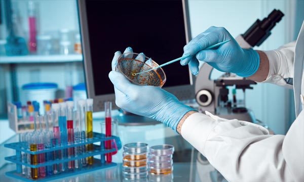 Afrique: L'OMS appelle à redoubler d'efforts pour combattre les maladies non transmissibles Afrique: L'OMS appelle à redoubler d'efforts pour combattre les maladies non transmissibles