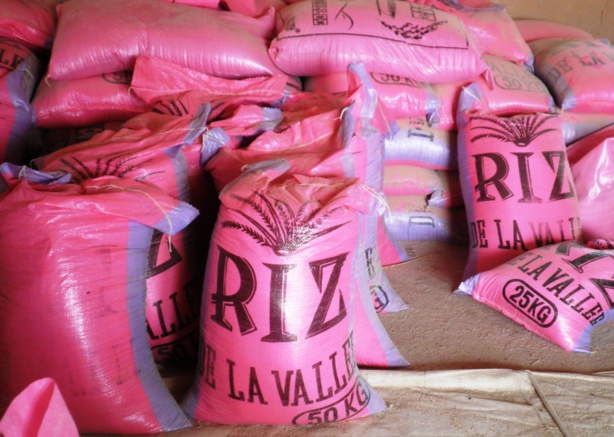 Riz de la vallée : Alioune Sarr promet une solution à la production invendue Riz de la vallée : Alioune Sarr promet une solution à la production invendue
