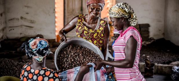 © FAO/Luis Tato Des femmes agricultrices dans le nord du Ghana. © FAO/Luis Tato Des femmes agricultrices dans le nord du Ghana.