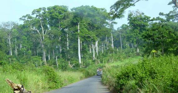 Les services météorologiques et climatiques soutiennent le développement durable en Afrique