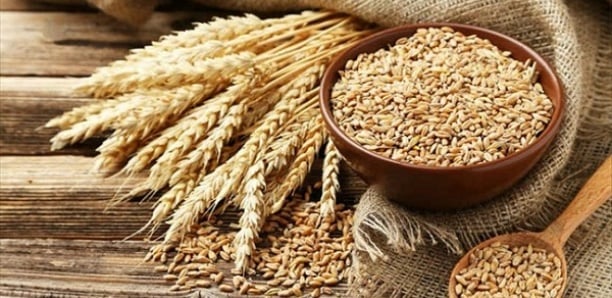 Évolution des cours internationaux des produits pétroliers et alimentaires : La Bceao évalue l’impact dans l’Uemoa Évolution des cours internationaux des produits pétroliers et alimentaires : La Bceao évalue l’impact dans l’Uemoa